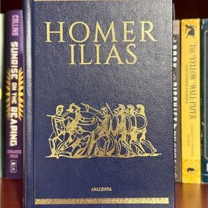 Homer’s Iliad (German Translation) Hardcover Book